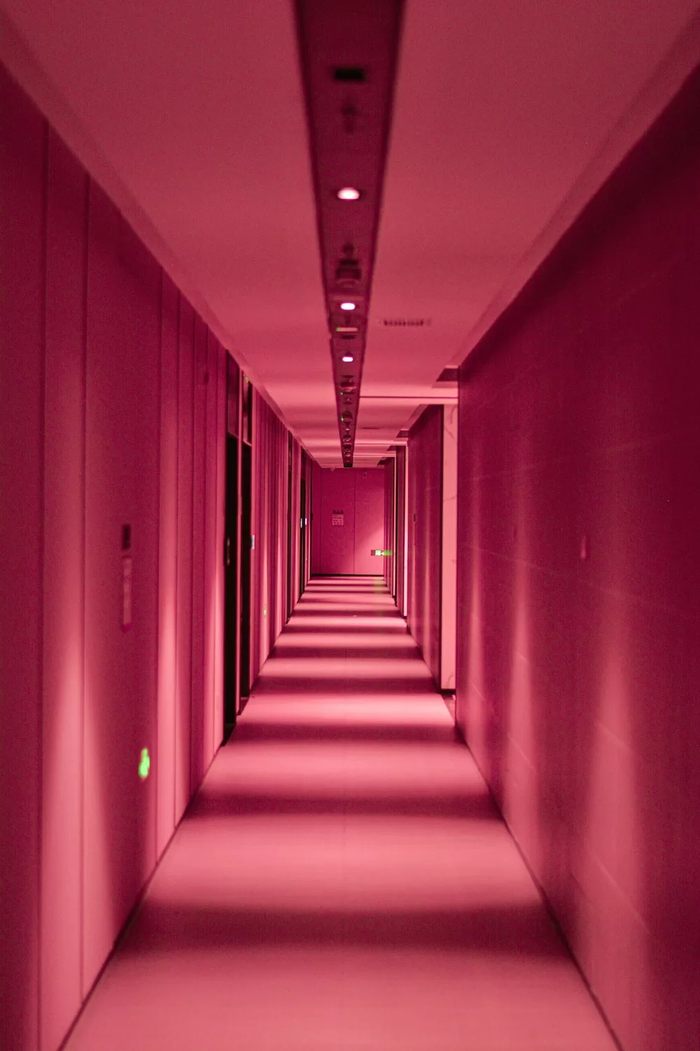 Hallway in building covered in pink lighting with parallel walls that demonstrate a mathematical vanishing point.